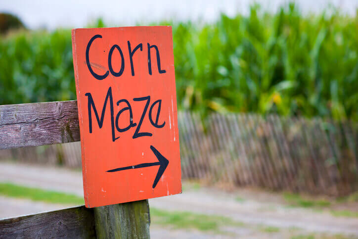 maryland corn maze Maryland holiday happenings